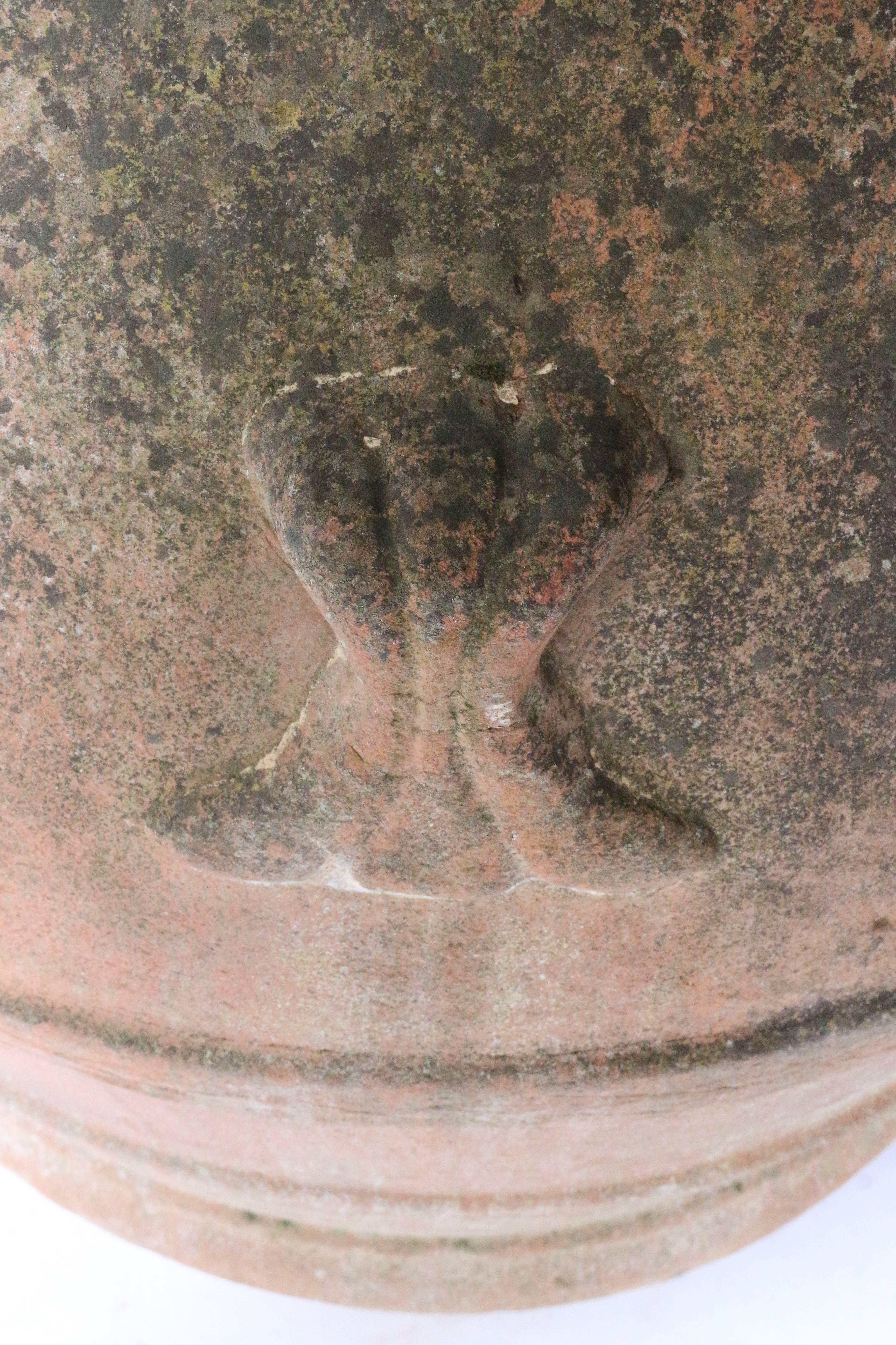 terracotta olive oil jars