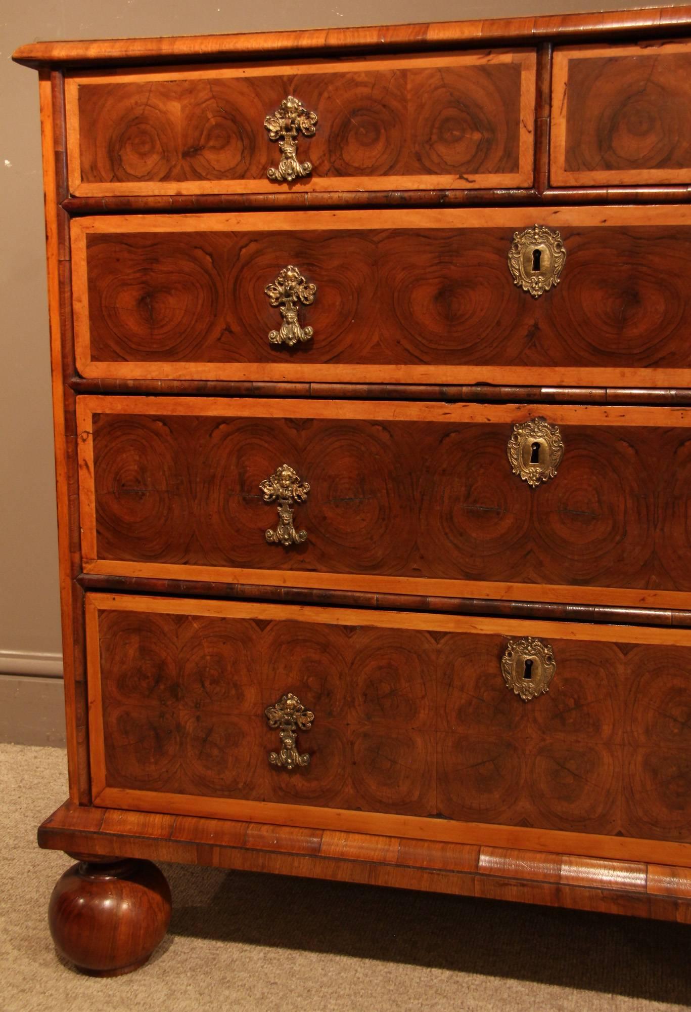Small William & Mary Chest of Drawers with Olivewood Oyster and Holly Banding In Good Condition In Wiltshire, GB