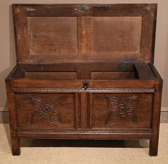 Good Late 17th Century Two-Panel Oak Coffer