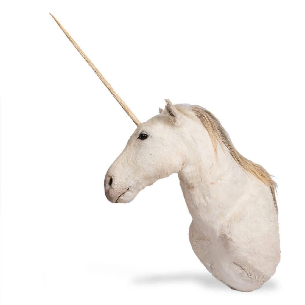 The unicorn is a legendary creature that has been described since antiquity as a beast with a large, pointed, spiraling Horn projecting from its forehead. The unicorn was depicted in ancient seals of the Indus Valley Civilization and was mentioned