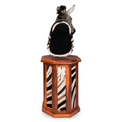 Elegant African Large Taxidermy Burchell Zebra on Stand