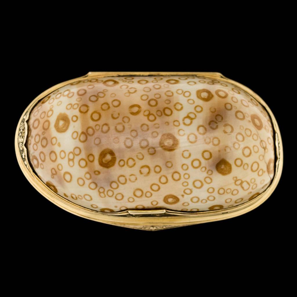 Antique late 18th century rare Continental 18-karat gold mounted, cowry shell snuff box, the hinged covers beautifully engraved with hunting and scroll decoration, reeded decoration around the sides and lid applied with a stylized thumb-piece.
