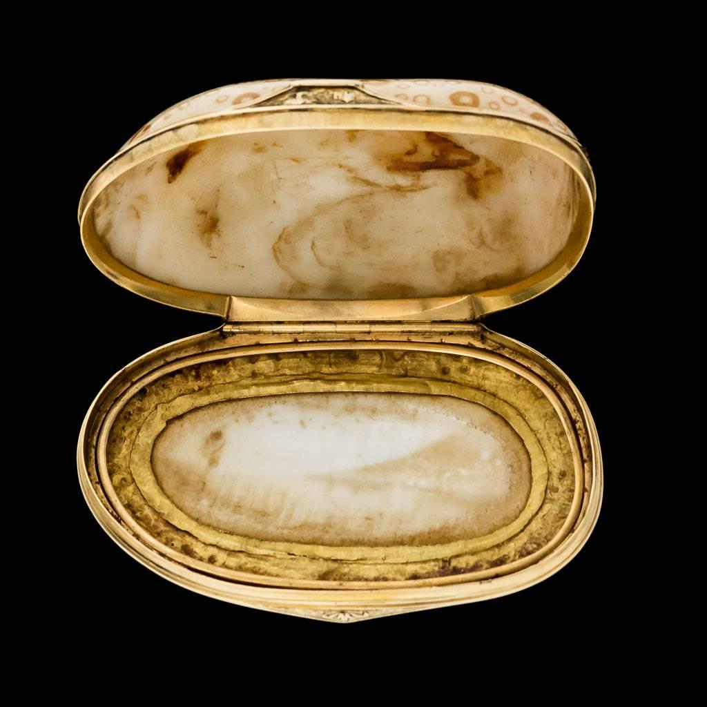 Antique Continental 18 Karat Gold-Mounted Cowry Shell Snuff Box, circa 1780 In Excellent Condition In Royal Tunbridge Wells, Kent