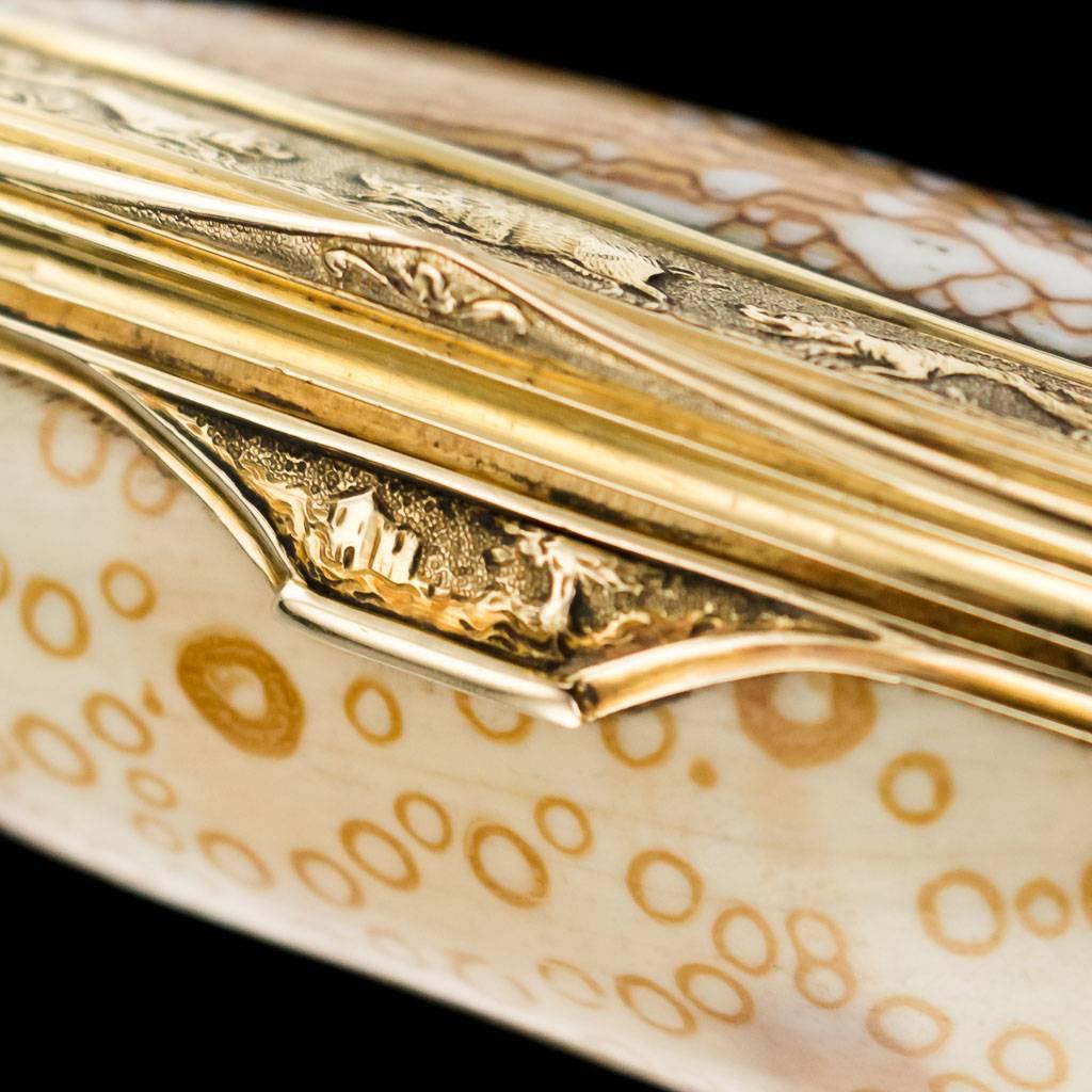 Antique Continental 18 Karat Gold-Mounted Cowry Shell Snuff Box, circa 1780 3