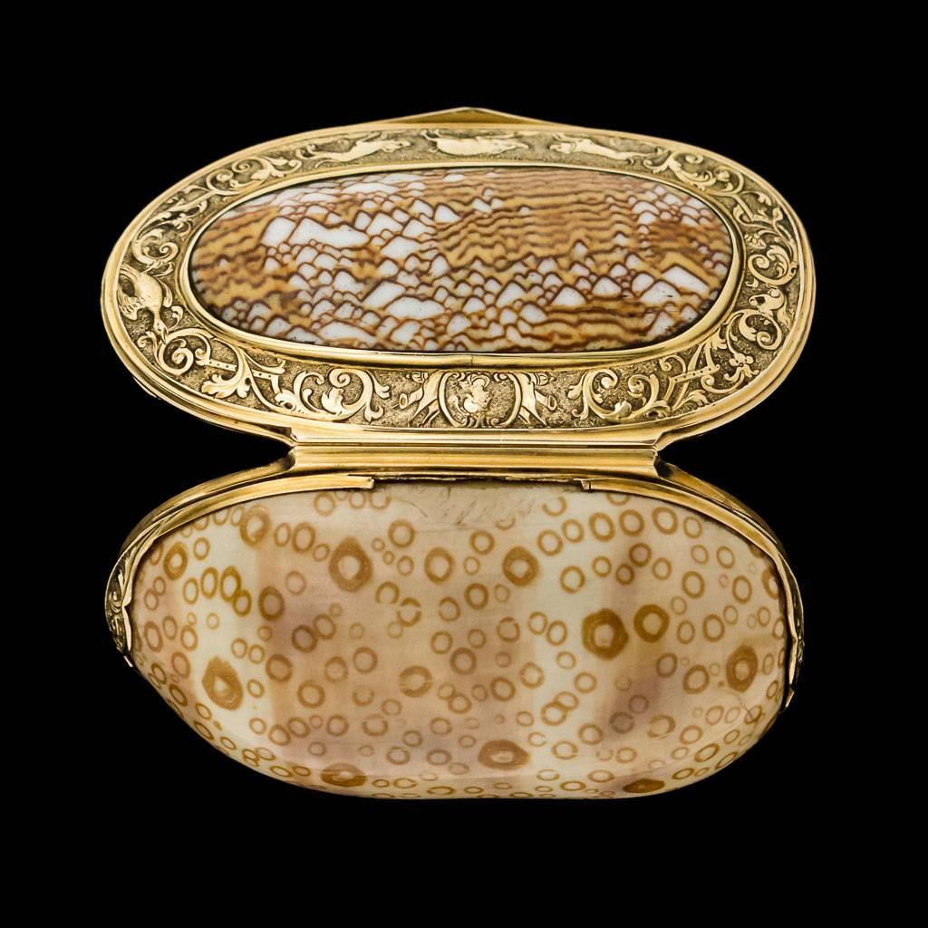 18th Century Antique Continental 18 Karat Gold-Mounted Cowry Shell Snuff Box, circa 1780