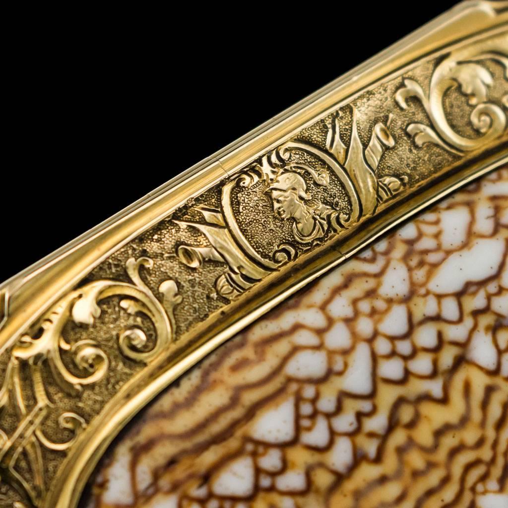 Antique Continental 18 Karat Gold-Mounted Cowry Shell Snuff Box, circa 1780 1