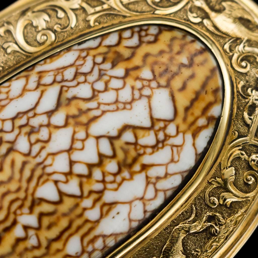 Antique Continental 18 Karat Gold-Mounted Cowry Shell Snuff Box, circa 1780 2