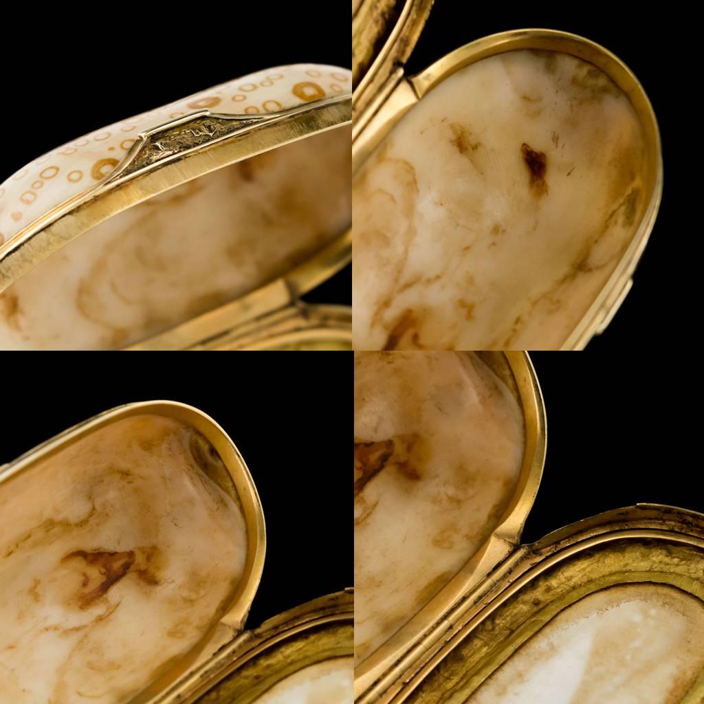 Antique Continental 18 Karat Gold-Mounted Cowry Shell Snuff Box, circa 1780 4
