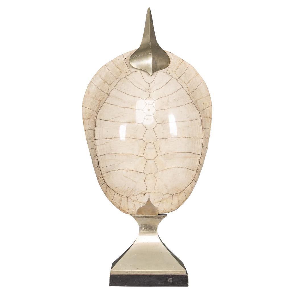 20thC "Blonde" Turtle Shell On A Metal Mount By Anthony Redmile, London c.1970