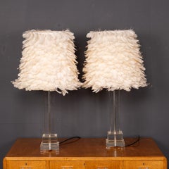 Vintage 20th Century Pair Of Lucite & Feather Table Lamps c.1980