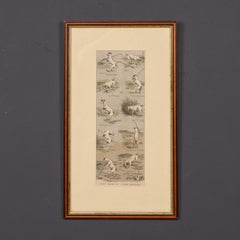 Vintage 20th Century Framed Print Of Golf Playing Terrier Dogs c.1950