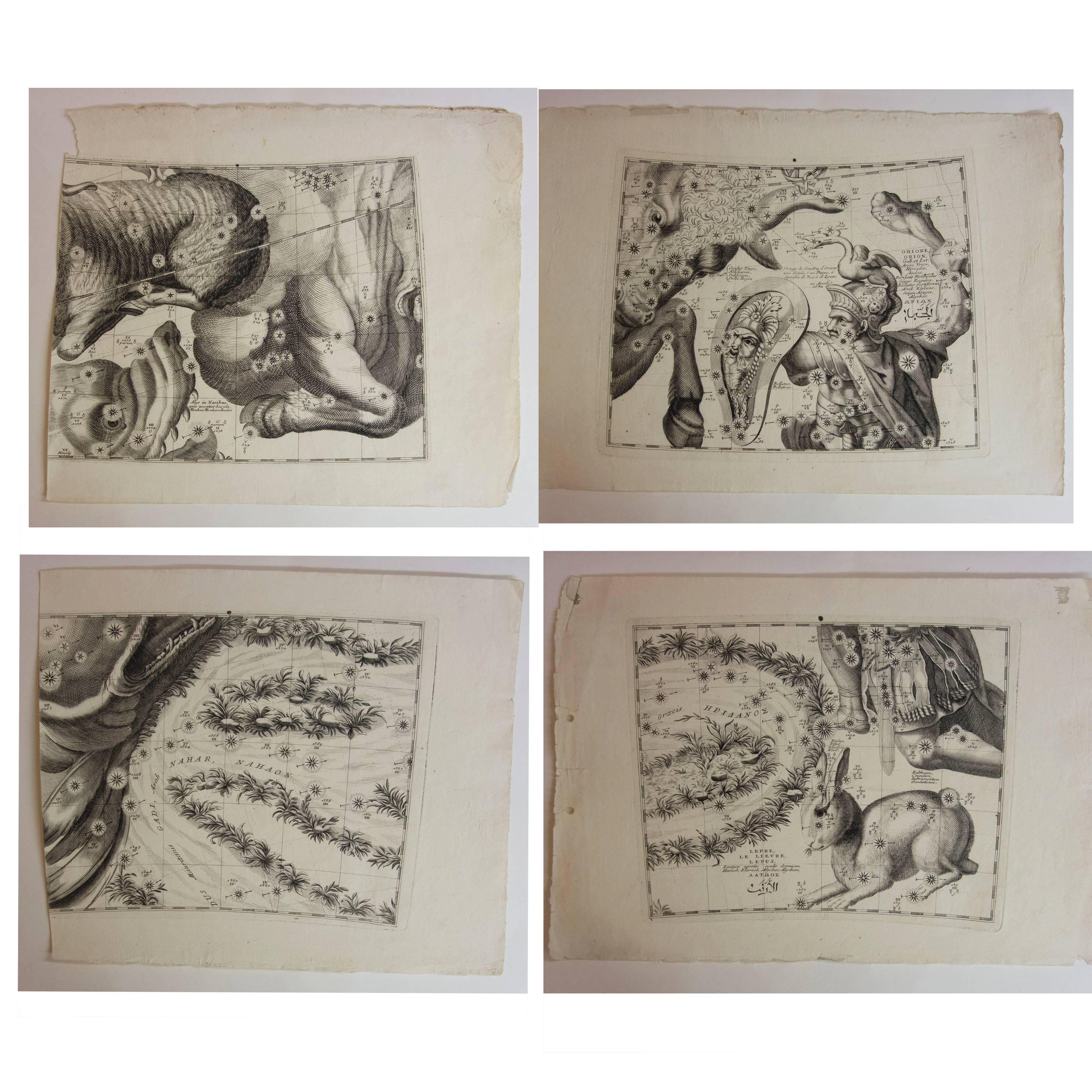 Paper Series of 23, 18th Century Celestial Prints by Vincenzo Coronelli For Sale