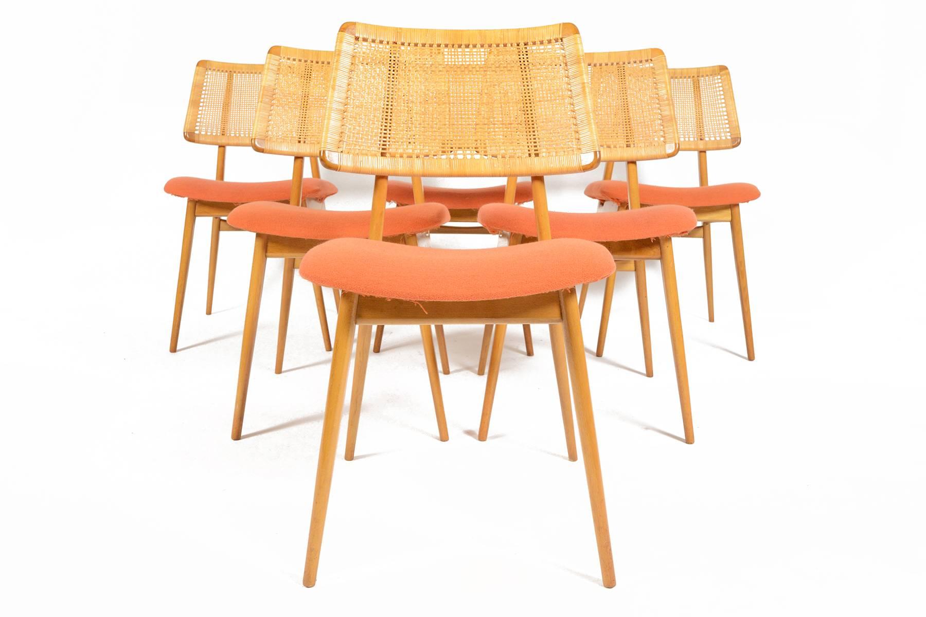 habeo chairs