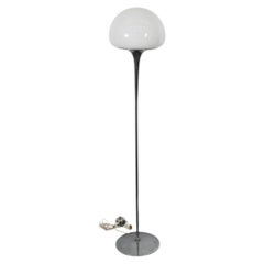 Goffredo Reggani Tulip Floor Lamp in Chrome