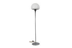 Goffredo Reggani Tulip Floor Lamp in Chrome