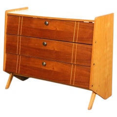 Teak + Beech Swedish Shoe Cabinet by Ilse Møbel