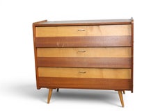 1950s Beech + Teak Swedish Shoe Cabinet