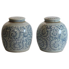 Blue and White Ginger Jars