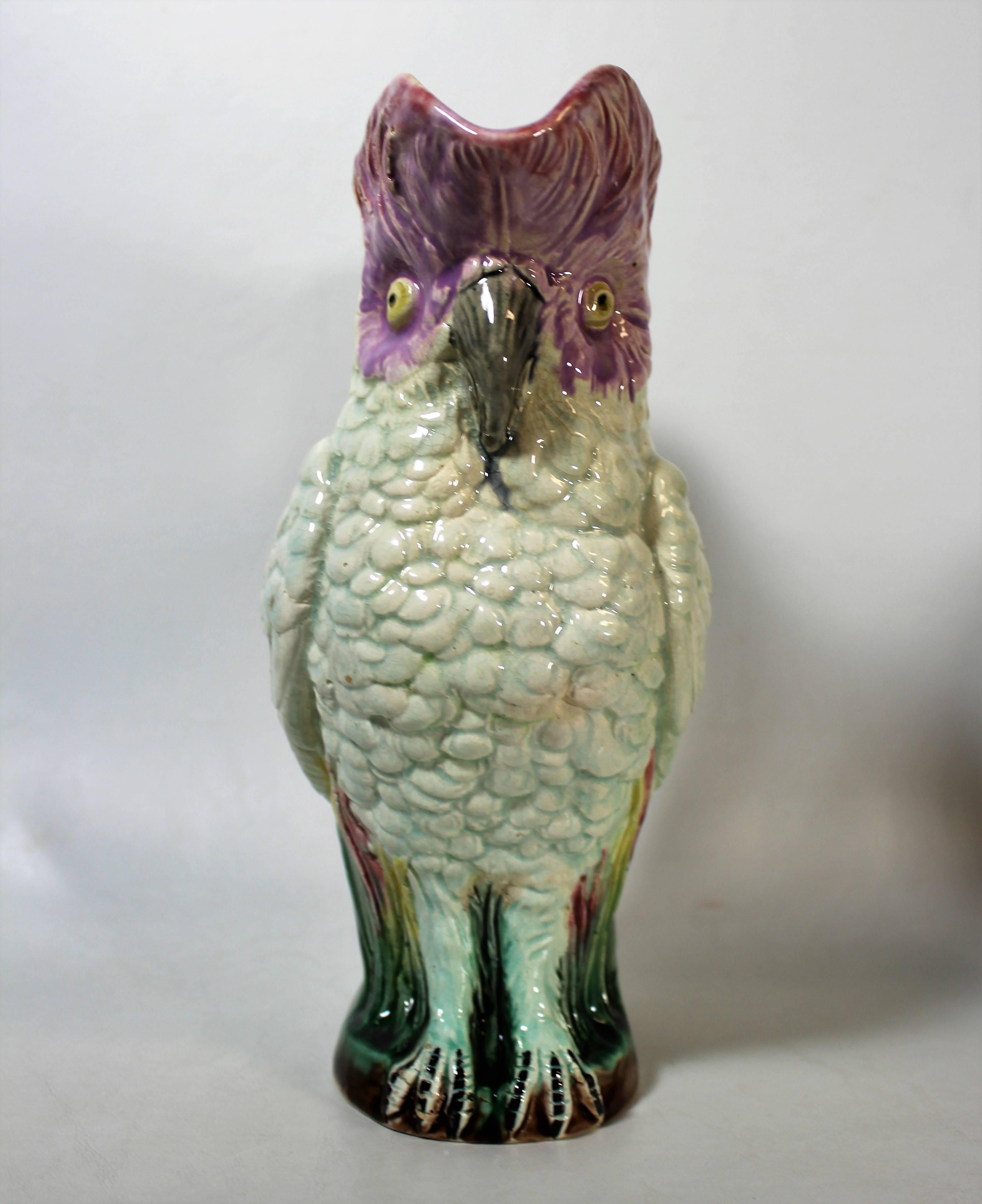 parrot jug