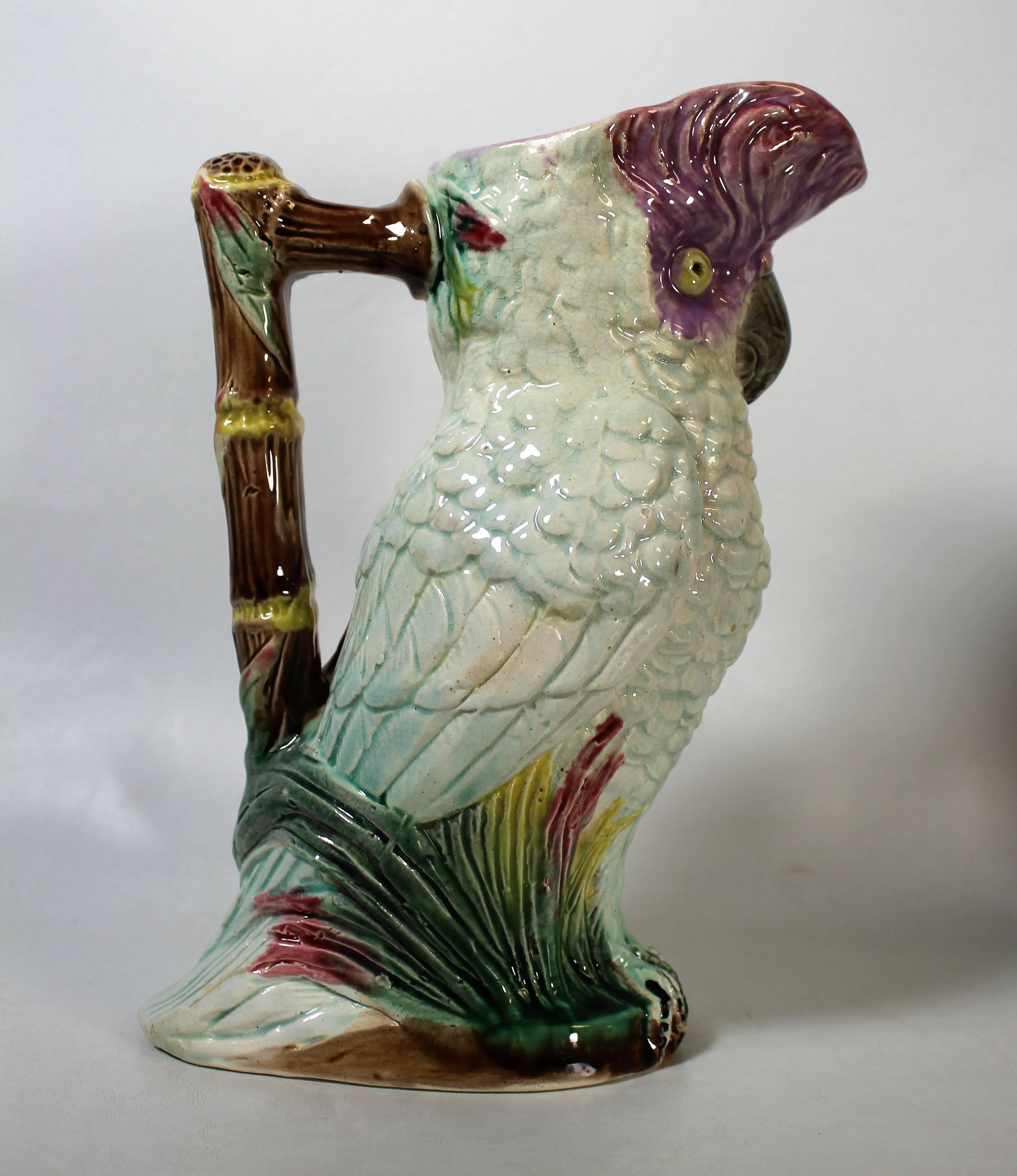 Majolica cockatoo pitcher.