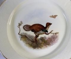 Set of Six Royal Worcester Porcelain Plates