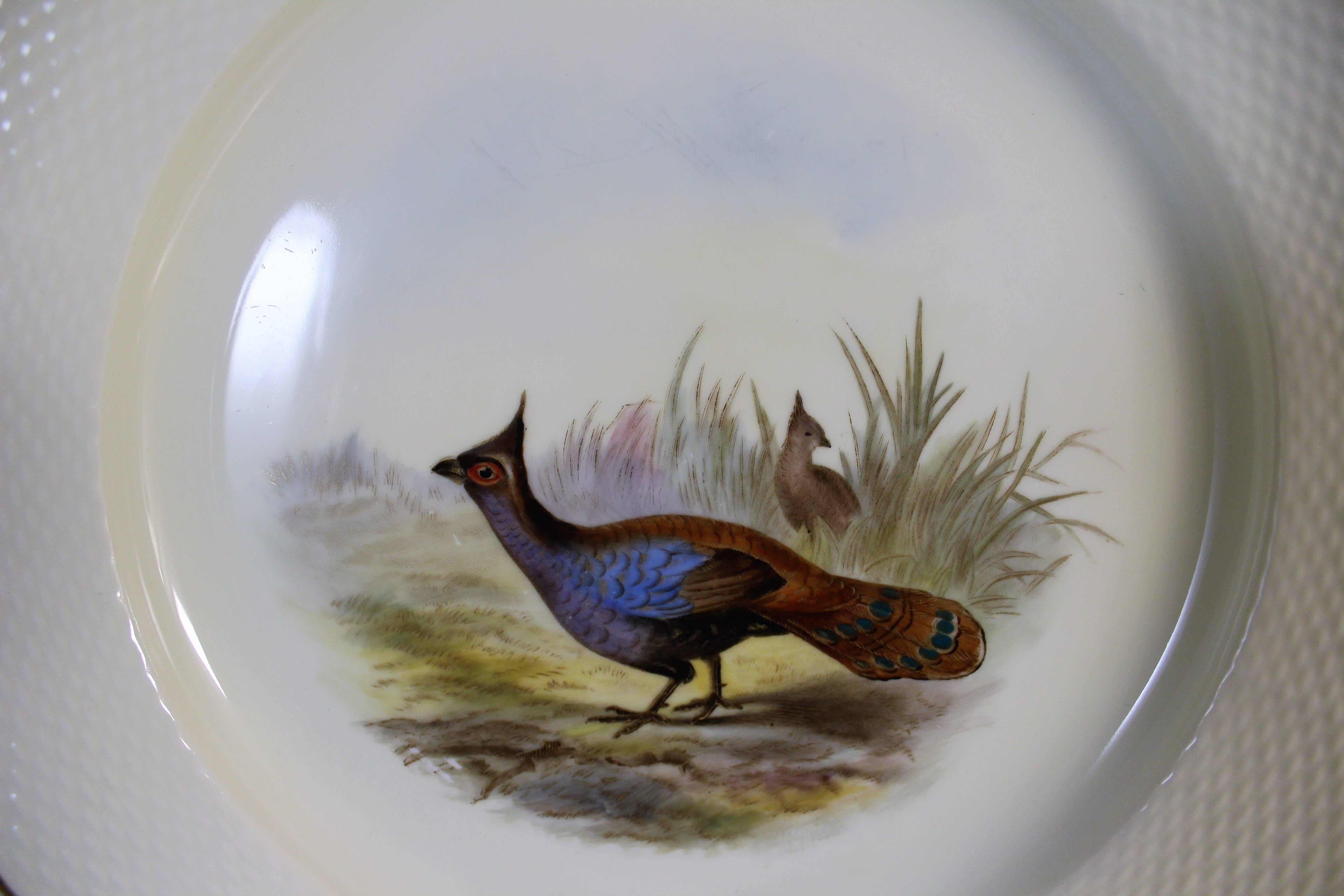 English Set of Six Royal Worcester Porcelain Plates For Sale