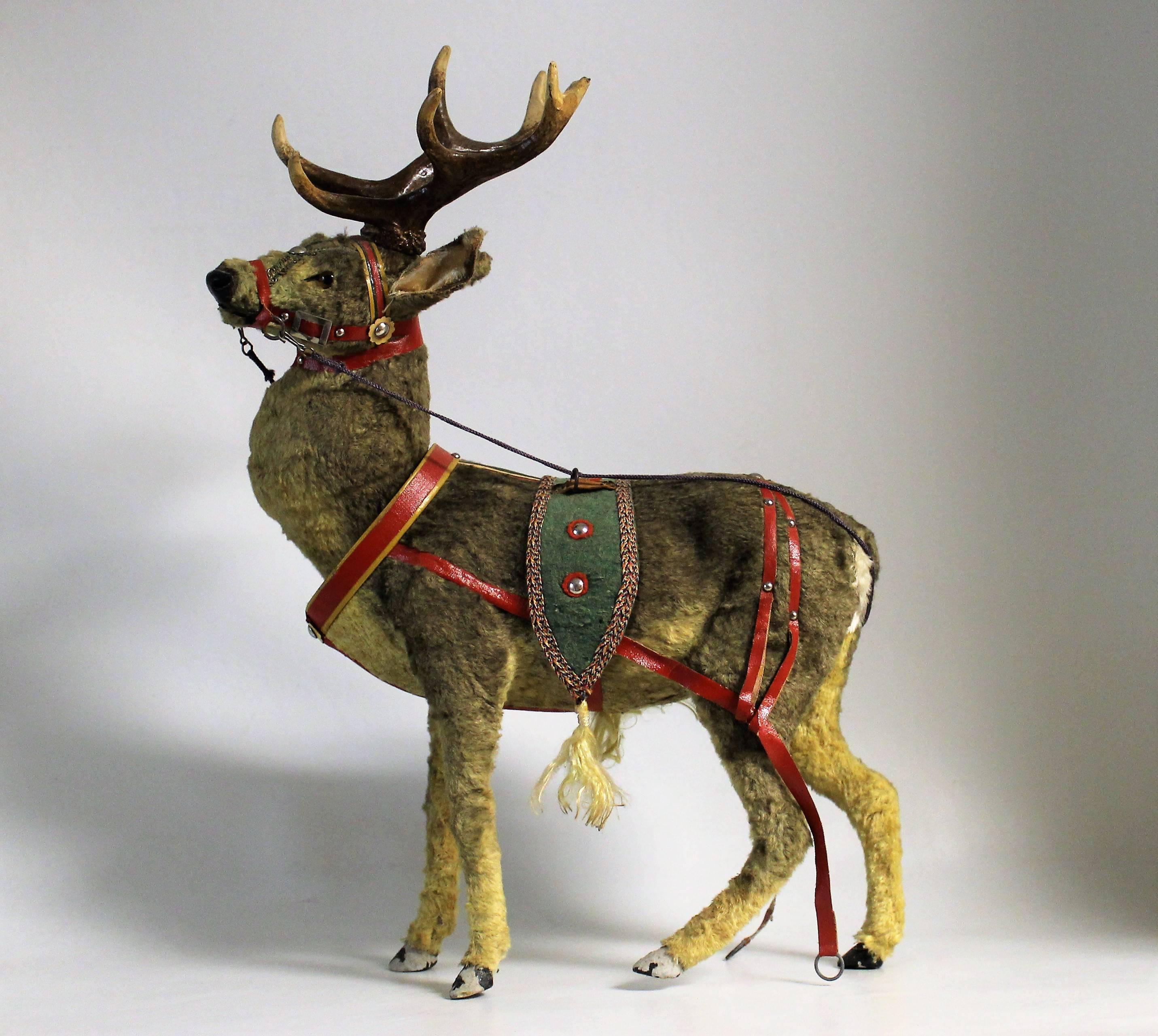 This lifelike German toy reindeer is an impressive size and has exceptional detail. is covered with fur-like hide, leather and cloth harness and bridle, beautiful brown glass eyes, topped by two realistic composition antlers. The wind-up mechanism
