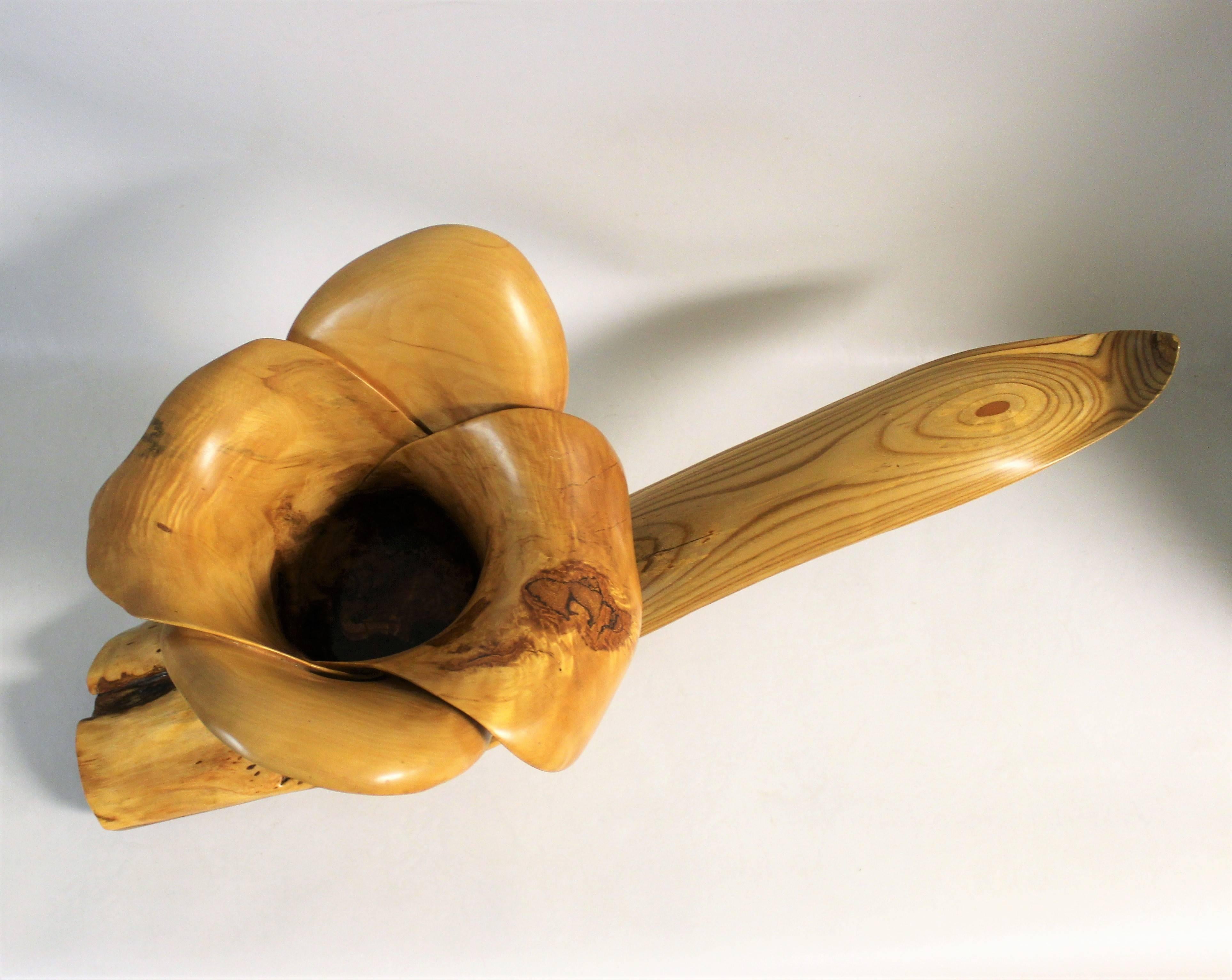 Organic Hand Carved Artisan Centerpiece  For Sale 2