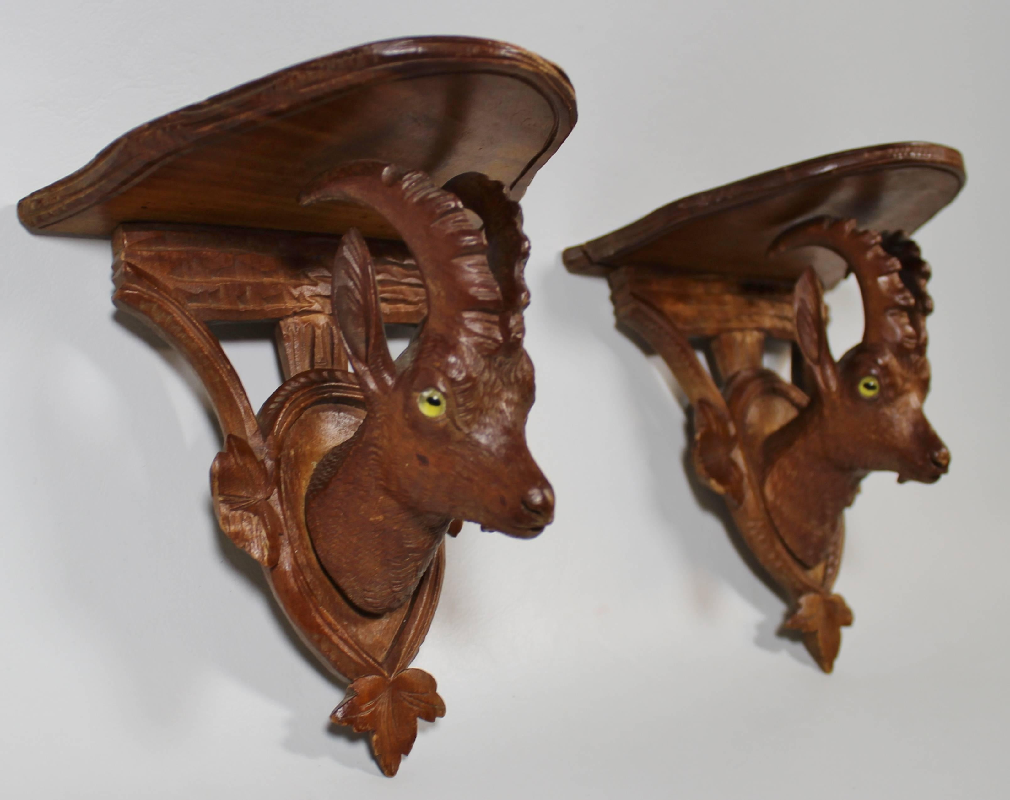 Pair of 19th century black forest carved ibex shelves. 
 
Excellent attention to carved detail on these shelves with the alpine ibex having long curling horns and original yellow glass eyes.


