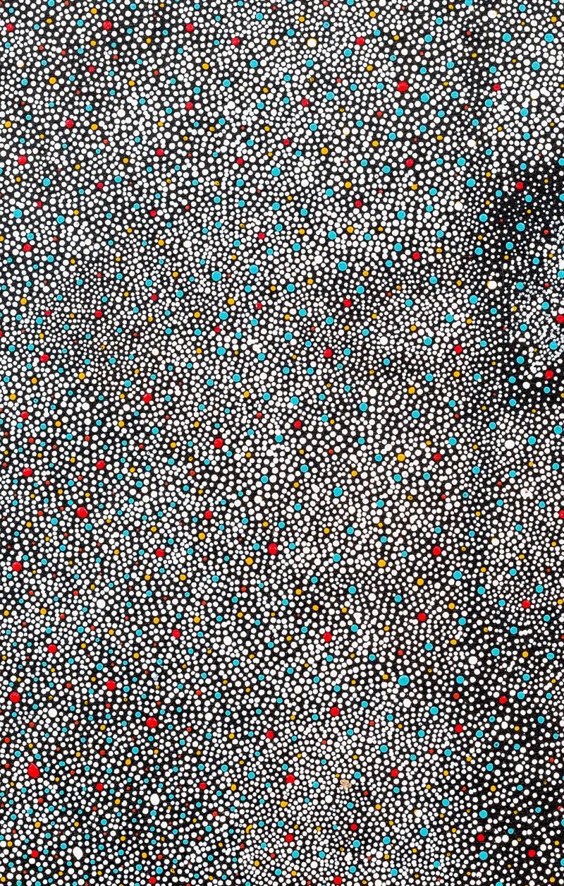 'Wild Plum' by Elizabeth Mbitjana, Australian Aboriginal Painting In Excellent Condition For Sale In London, GB