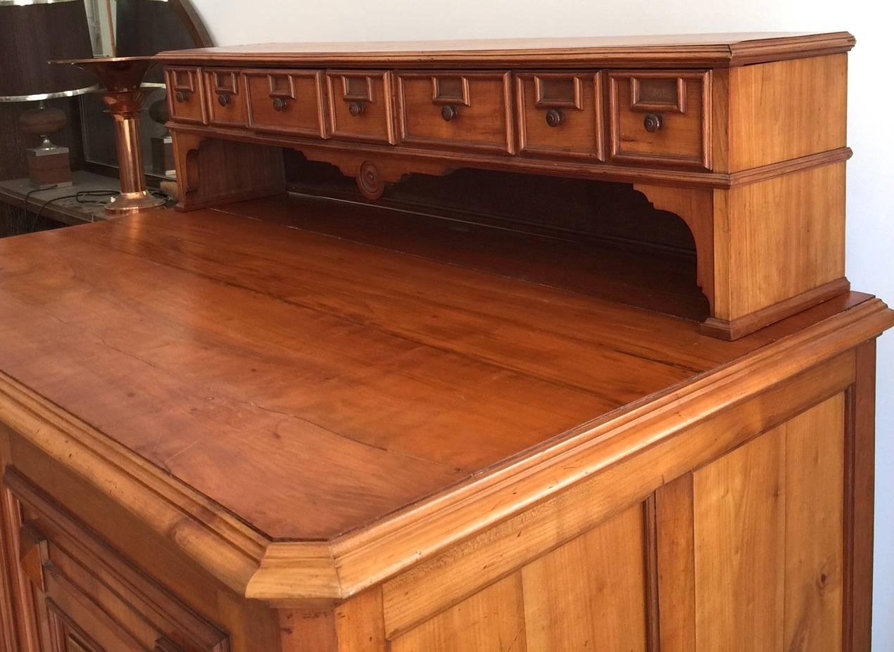 Louis Philippe Architect's Plan Chest Storage Drawers Cabinet, 19th Century In Excellent Condition For Sale In Biarritz, FR