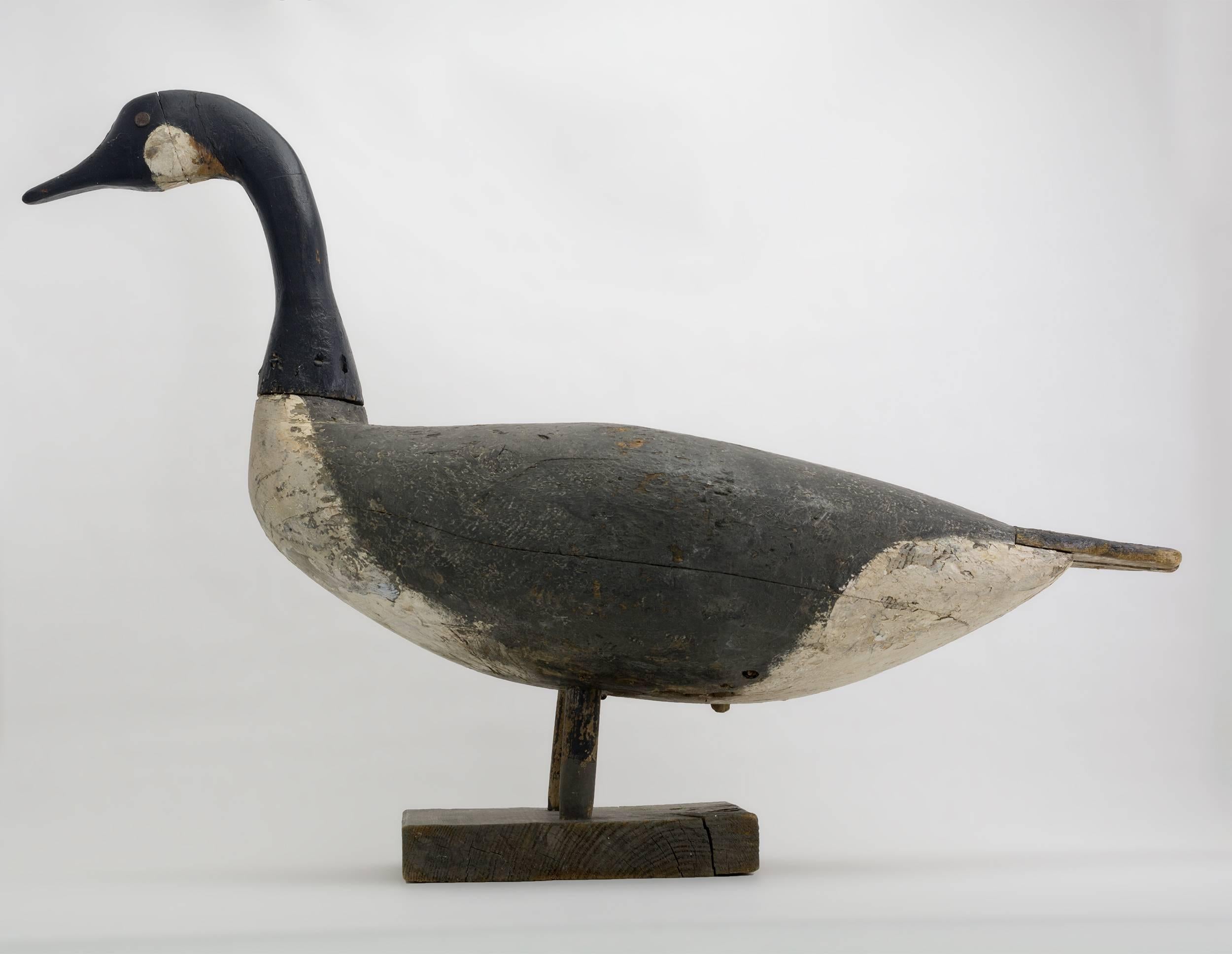 Working Goose Decoy attributed to Samuel Soper (1863-1943),Barnegat, New Jersey. This large decoy features tack eyes with a slat tail board. With a simple old hunter's paint design.
    
   