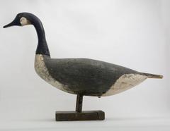 Canada Goose Decoy, Attributed to Samuel Soper, circa 1910