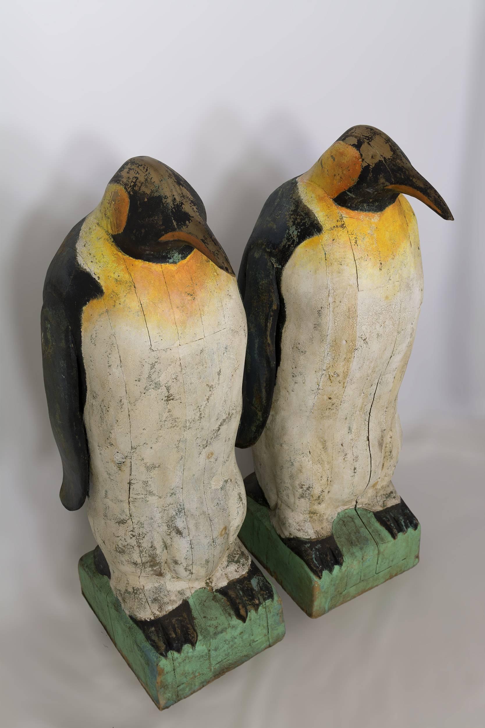 These two large penguins are carved from pine and retain their original paint.
They each weigh over 80 pounds.
 
