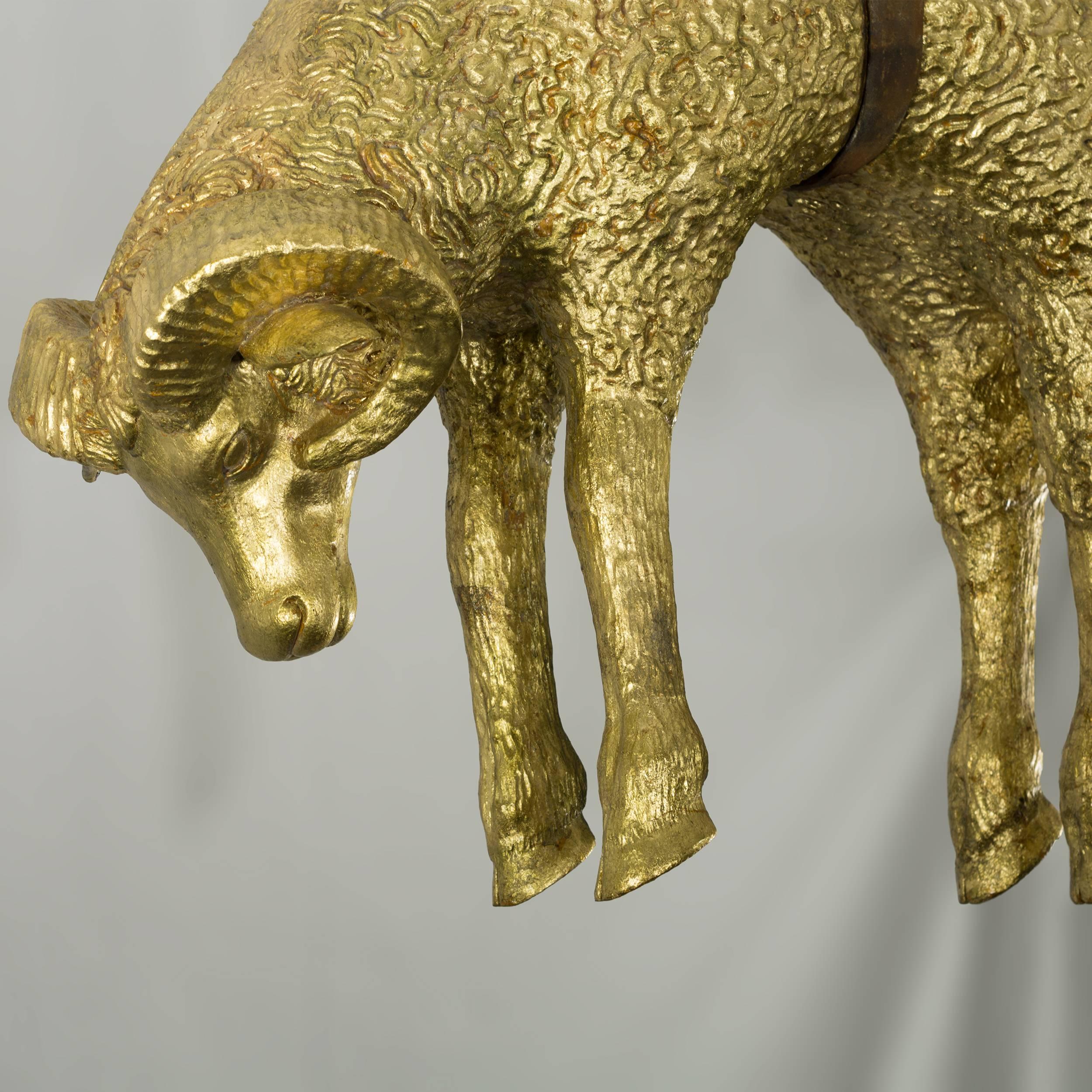 golden fleece ram for sale