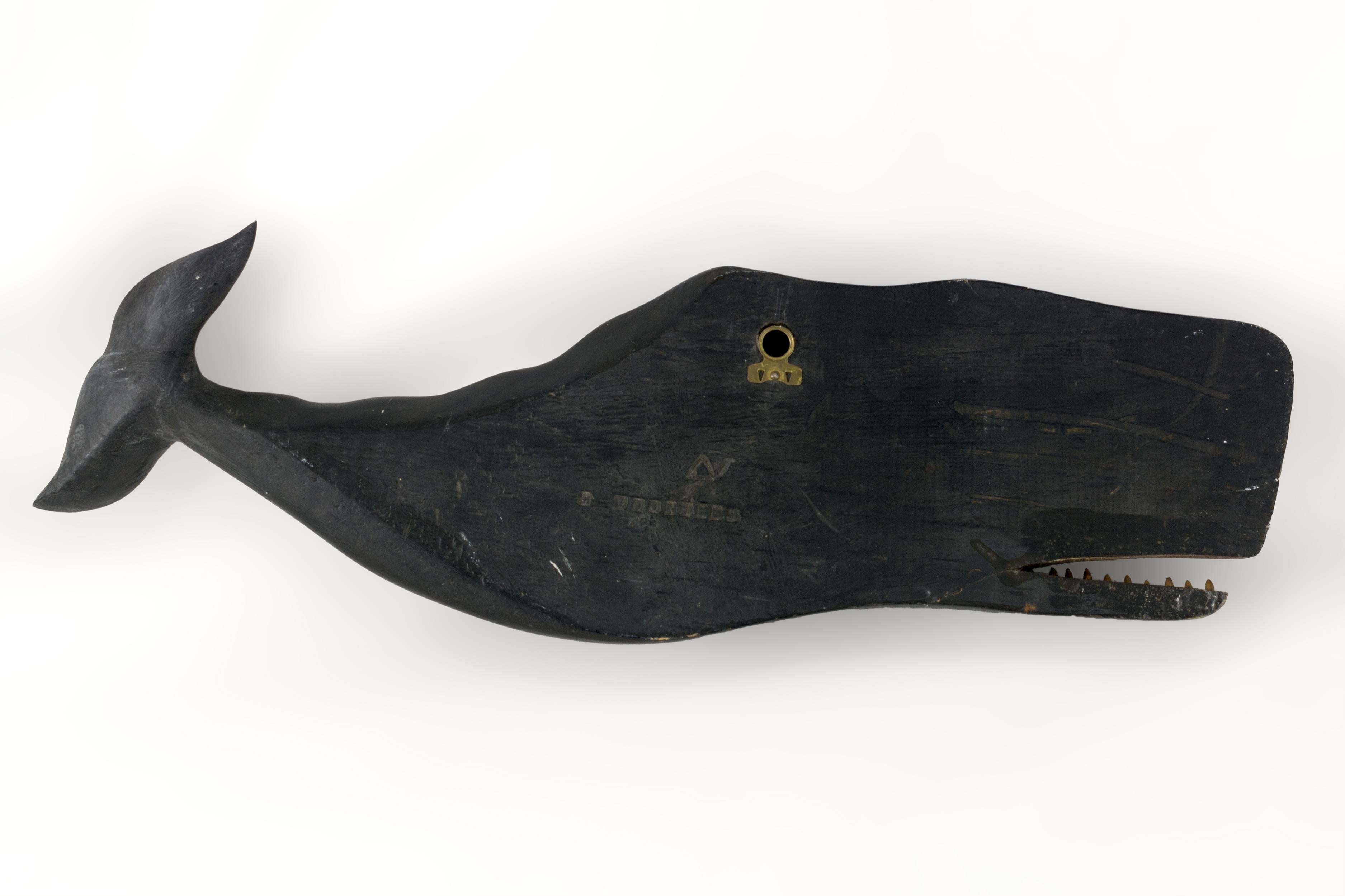 Carved and painted wooden whale plaque by the master carver Clark Voorhees (1911-1980). Carved from basswood with original paint and the original brass hanger on back. Signed with his stamped signature and monogram.


Measures: Ht. 5 in., Lg. 17