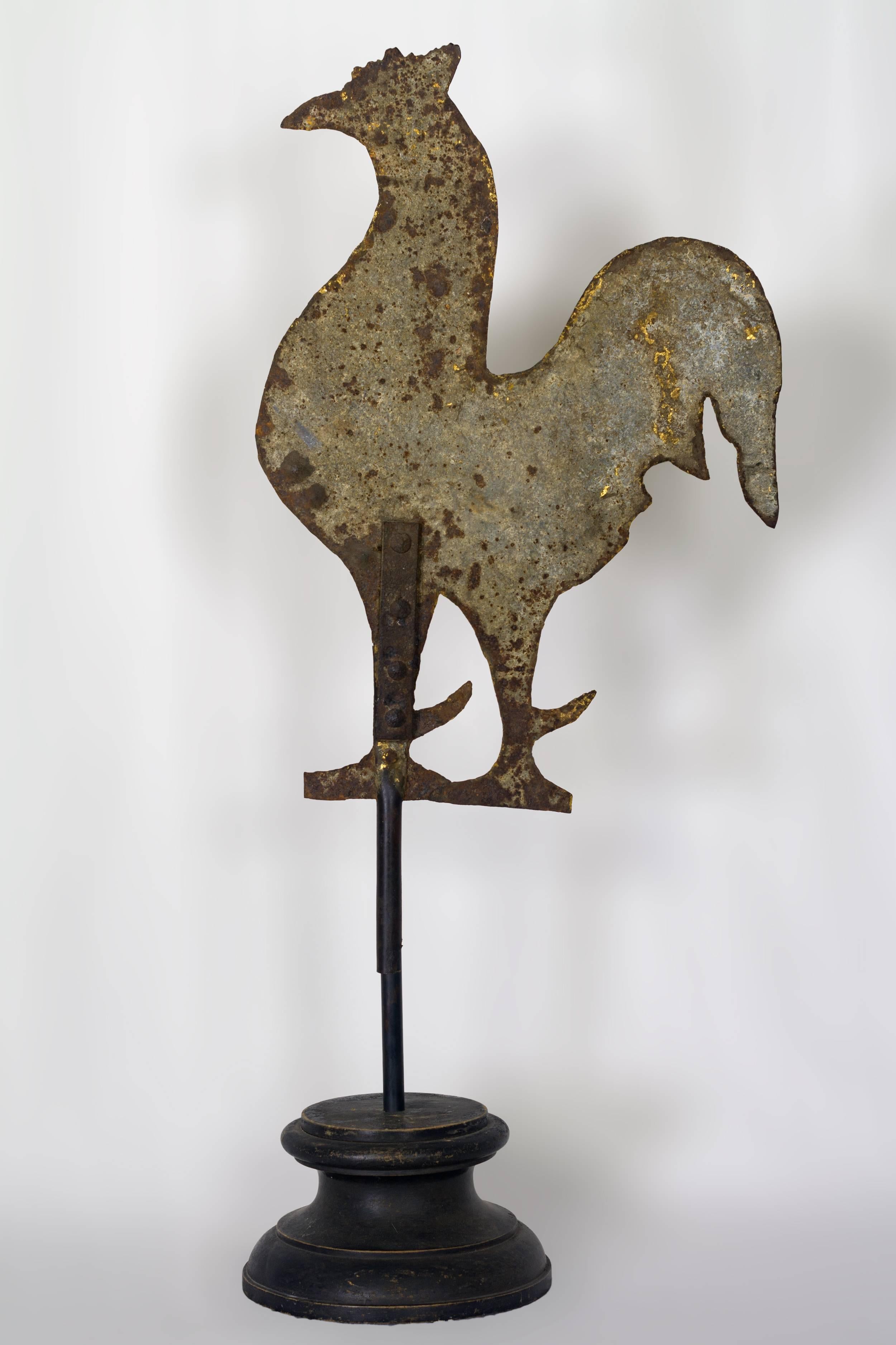 Handmade sheet iron rooster weathervane in silhouette form with exaggerated spurs in a weathered gilt finish. Mounted on a turned wooden base
American, circa 1890-1910
Measures: 21 ½” x 15”.
 
   