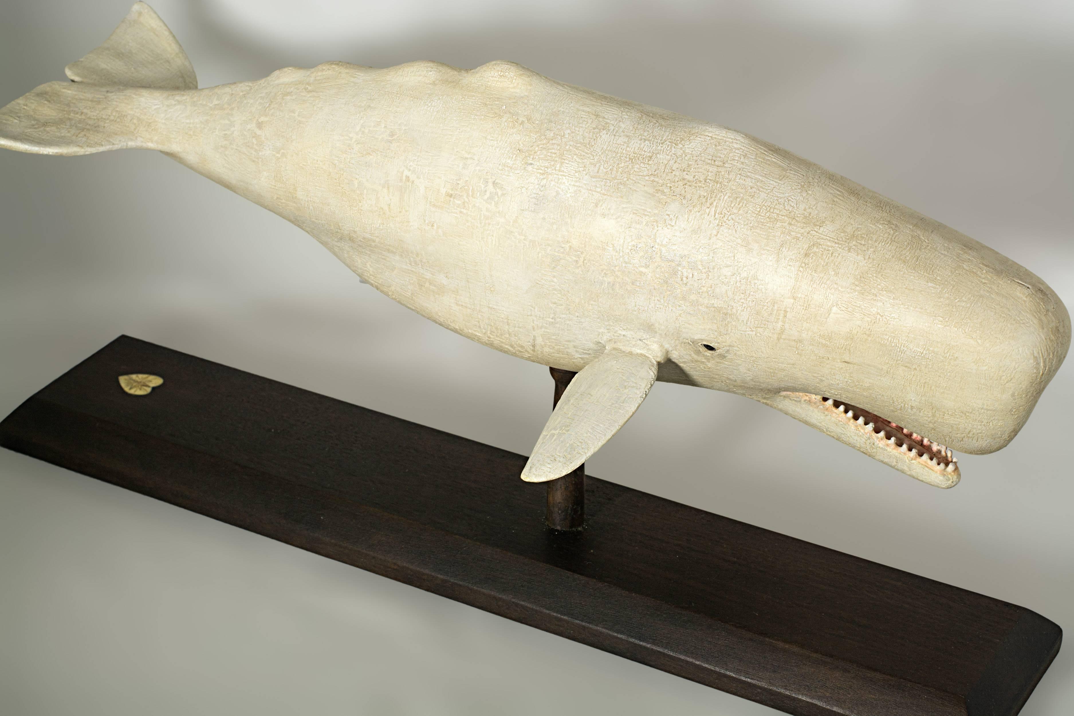 Carved and painted sperm whale by world renowned artist Frank Finney, b.1947. Carved in the round from Pine with attached flukes. Great detail with
a white aged surface, mounted on a Walnut stand with molded edges, with a shaped heart made of of