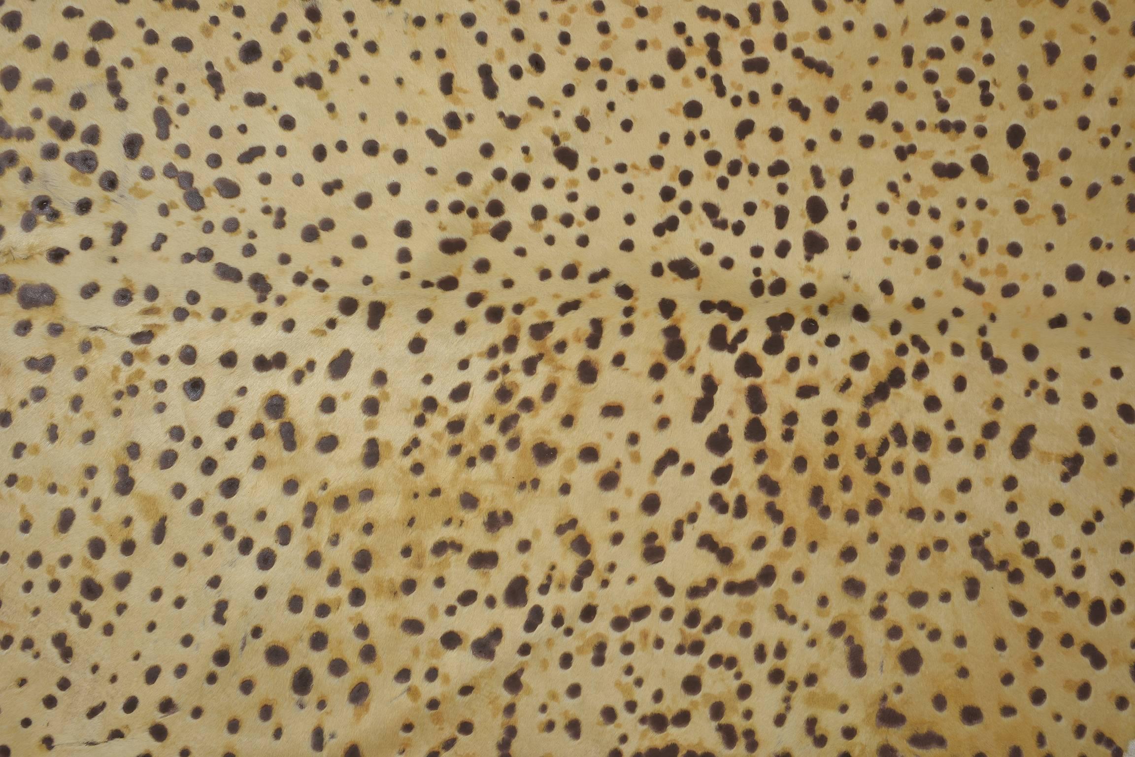 Nice cowhide - leopard printed - rug, perfectly adhering to the floor because not undulating edge.
 nr. 1310 -