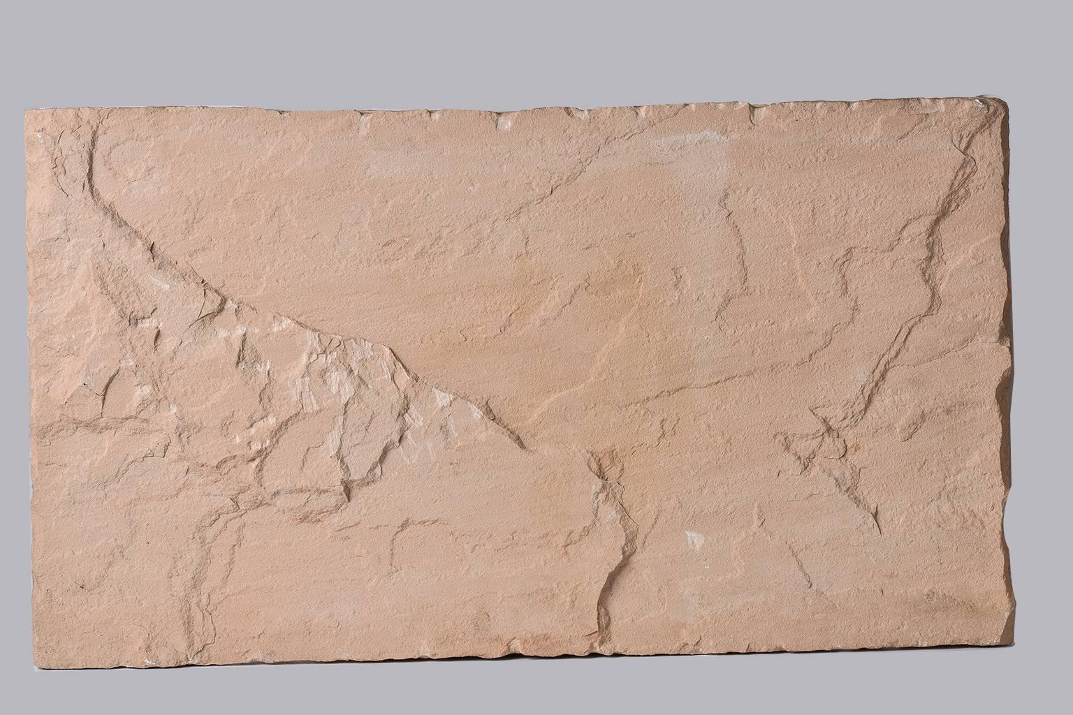 Panel Arquitectónico de Piedra Antigua - Arenisca en venta