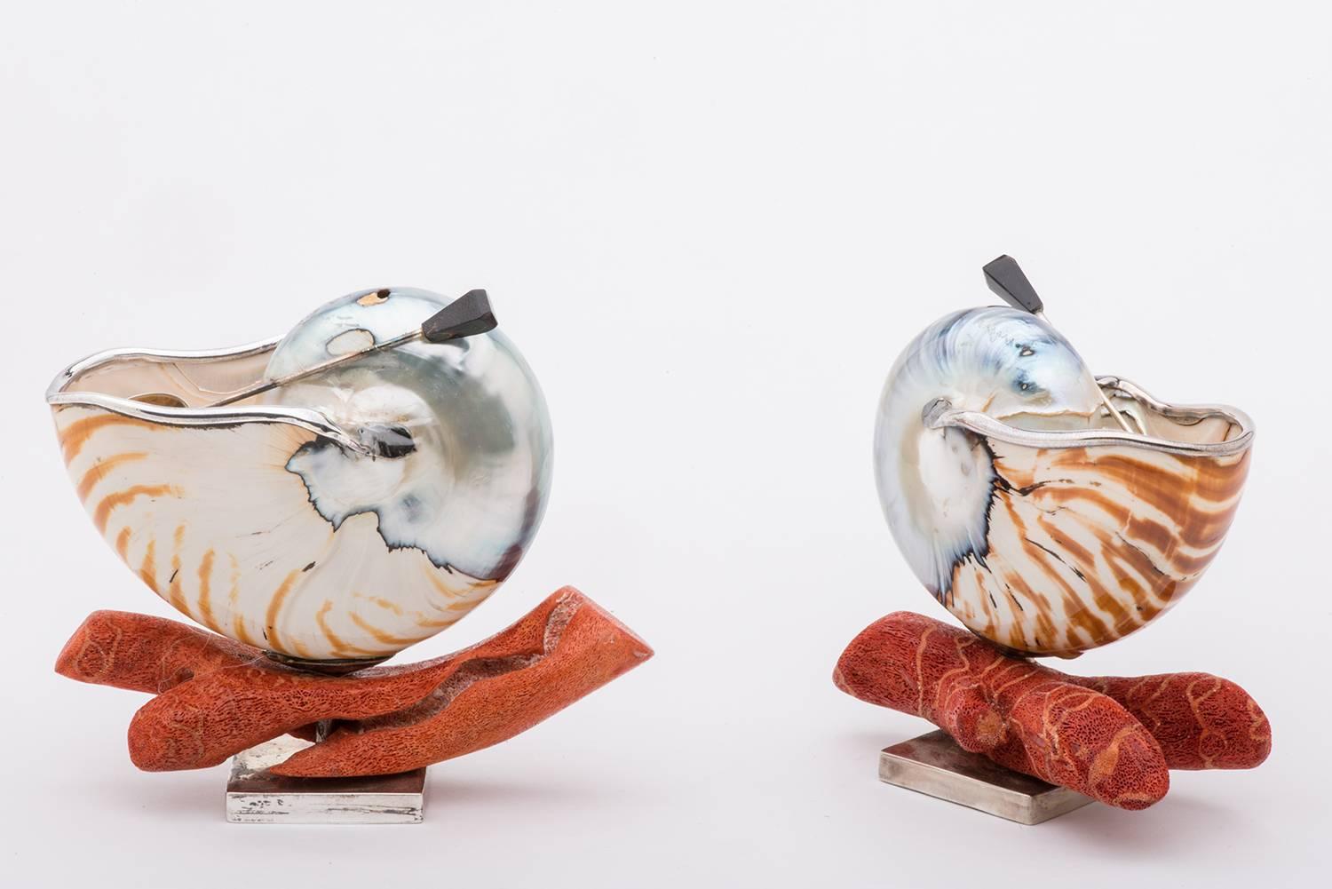 International Style Nautilus Shells for Salt for an Elegant Table