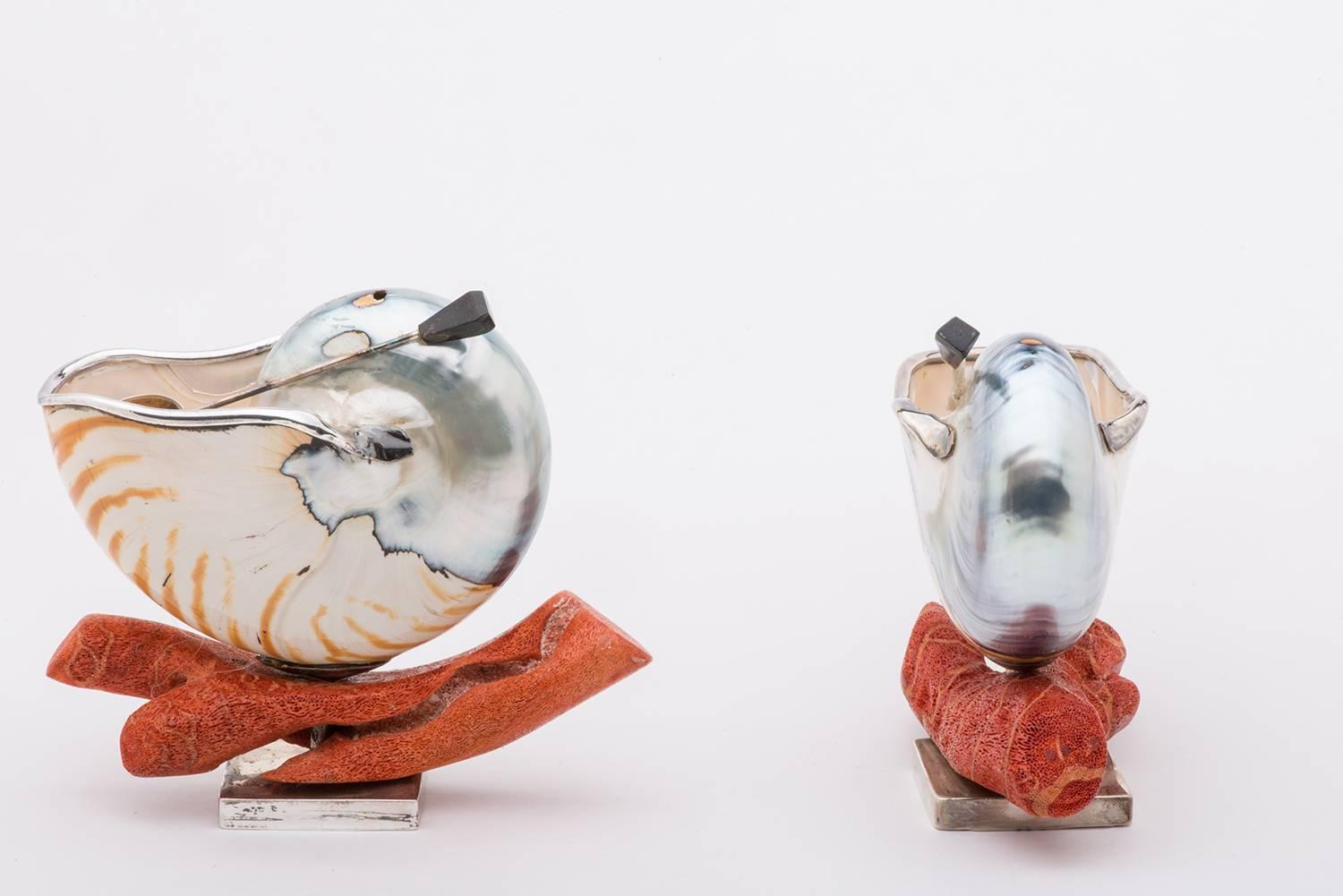Indonesian Nautilus Shells for Salt for an Elegant Table