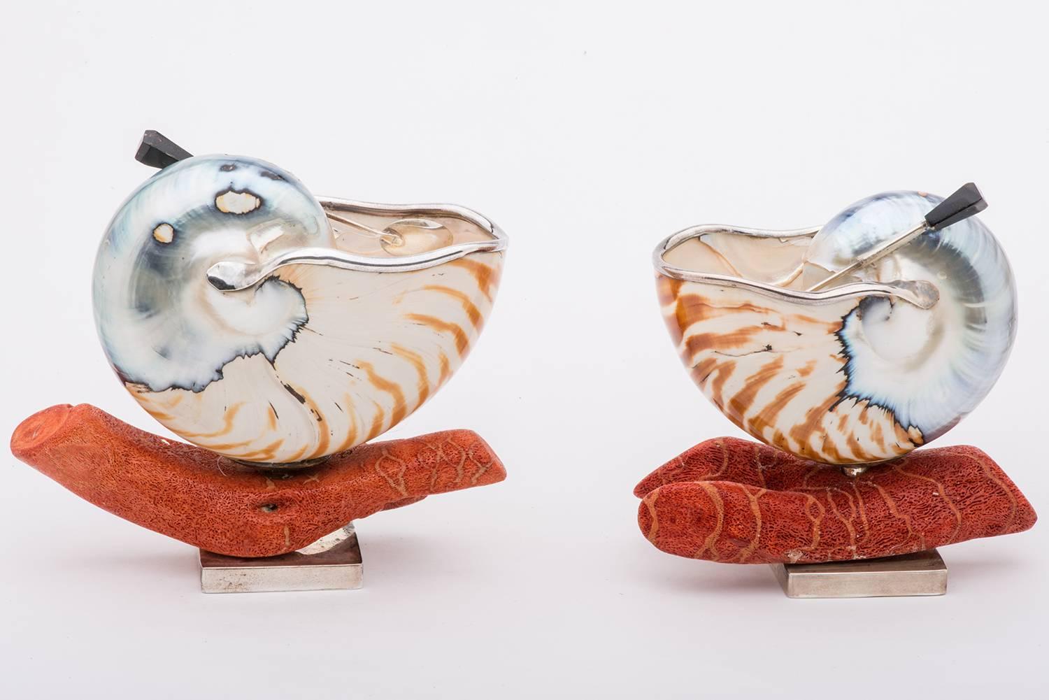 20th Century  Nautilus Shells for Salt for an Elegant Table