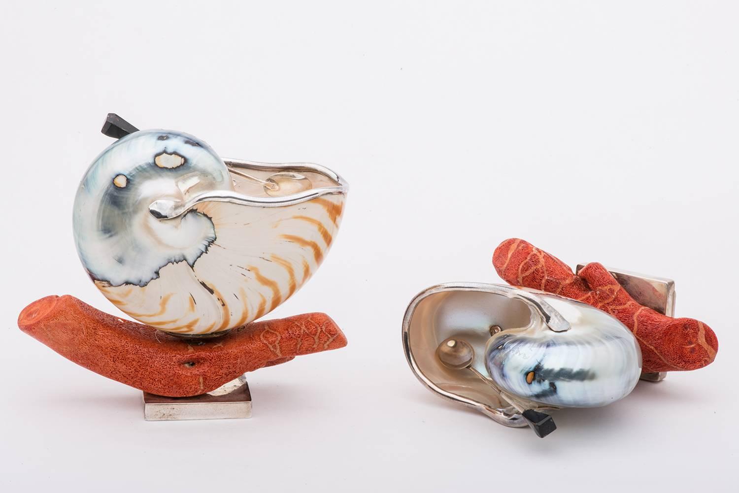 Silver  Nautilus Shells for Salt for an Elegant Table