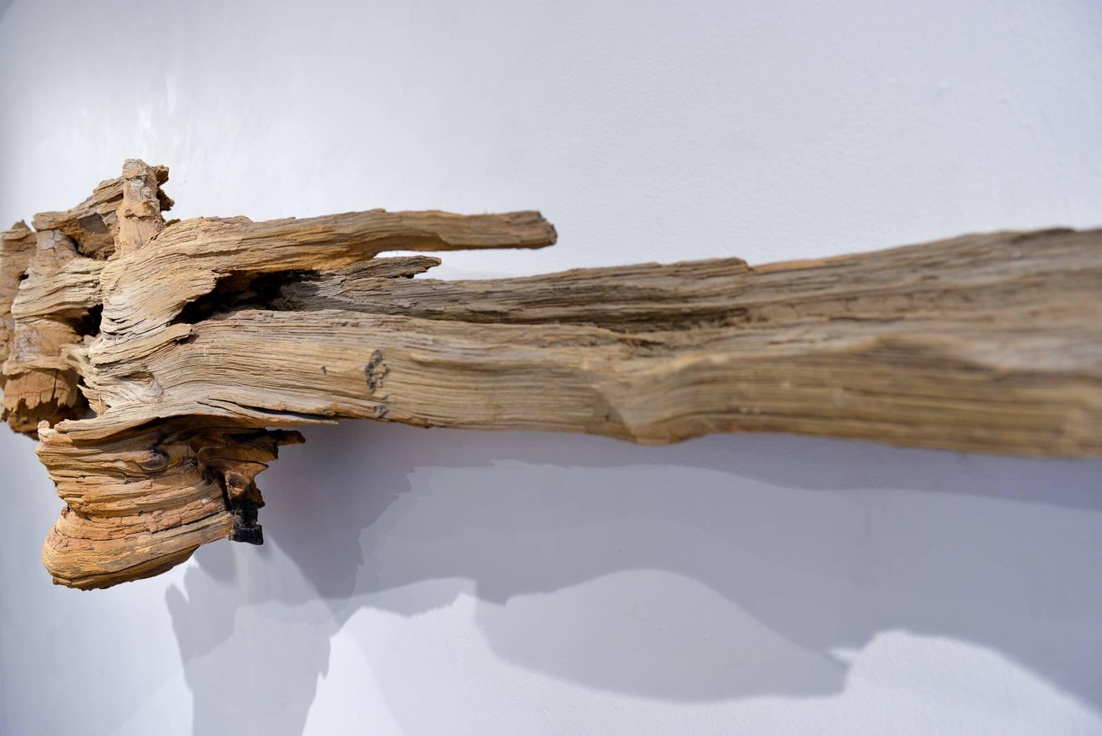 large driftwood wall hanging