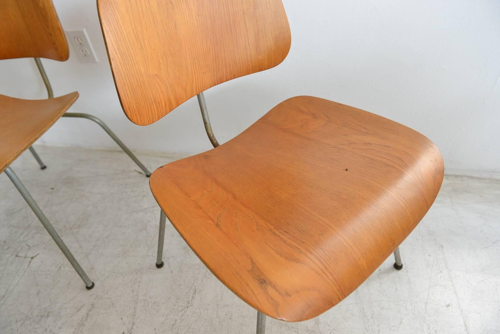 American Early Charles Eames DCM Dining Chairs