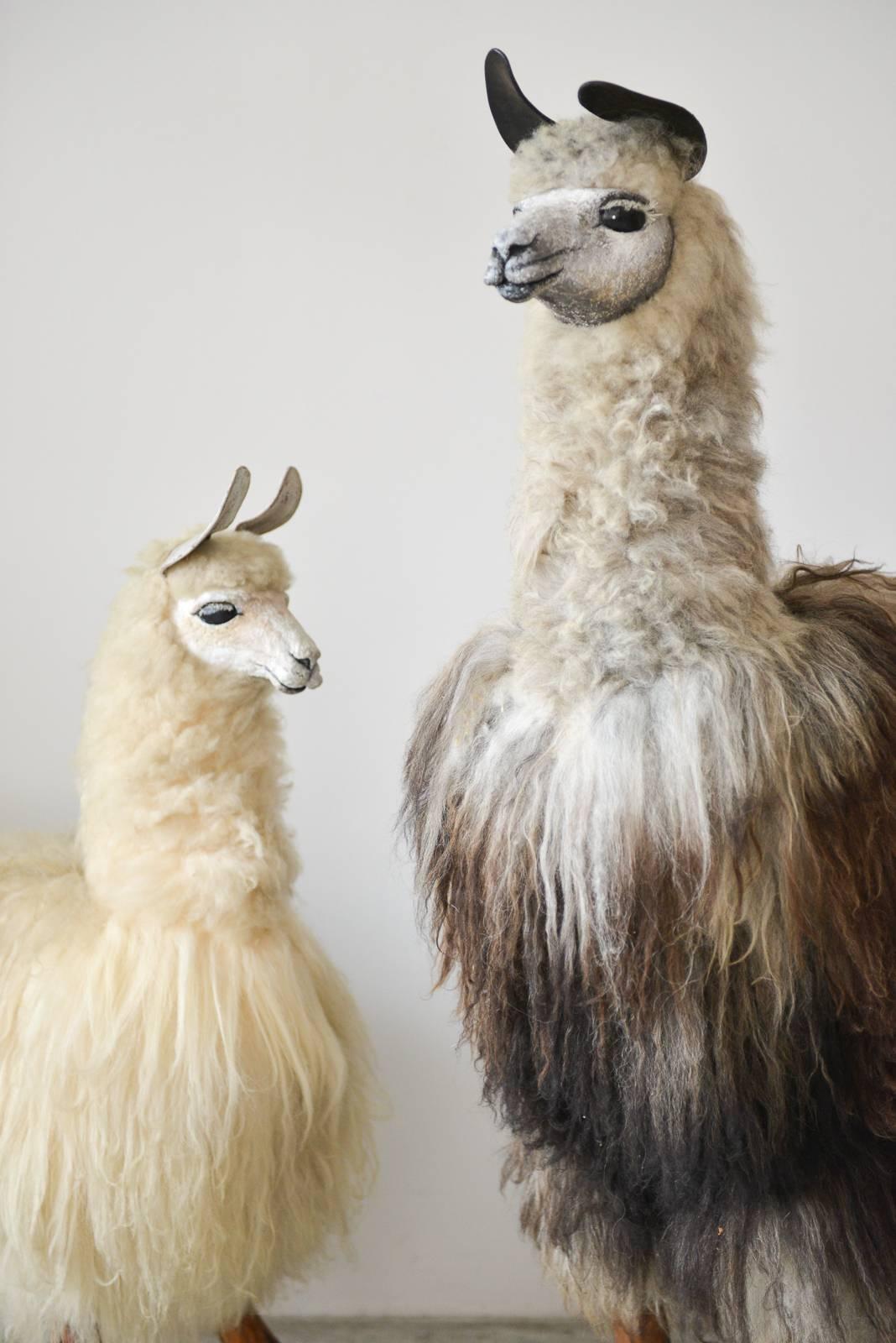One of a kind pair of handmade lifesize Llama statues. Commissioned and handmade for the largest Llama breeder in North America. From the breeders private collection. Provenance included. hand-carved faces of wood, real llama fur, wooden legs and