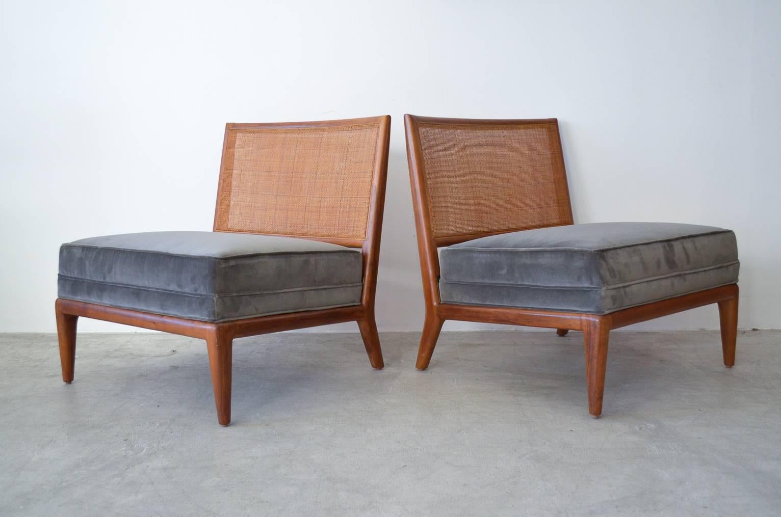 Exquisite pair of walnut cane back slipper chairs covered with new grey velvet upholstery.  Extremely rare, the cane back style is very desirable.  Classic lines, in excellent condition, they are a show stopper for any space.

Measures 26