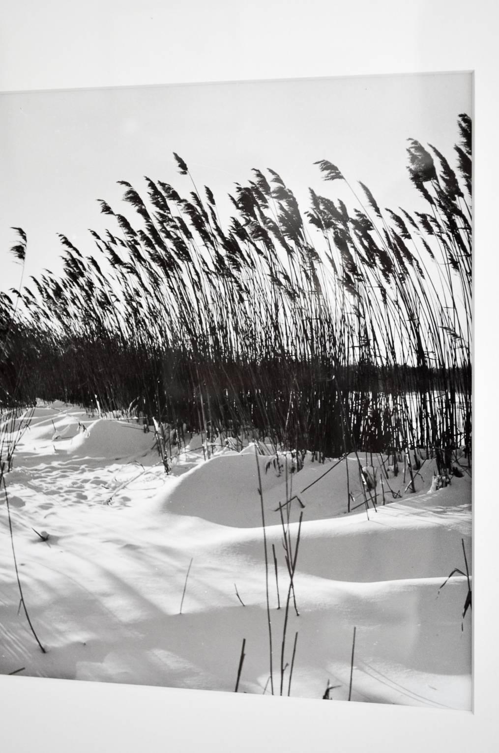 Mid-Century Modern 1954 ‘Montauk Beach’ Original Photograph by Jerry Muller For Sale