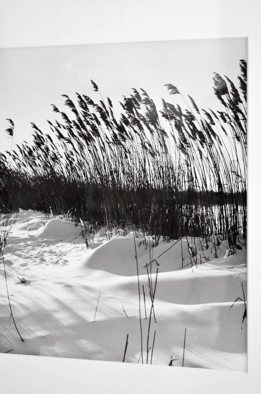 Mid-Century Modern 1954 ‘Montauk Beach’ Original Photograph by Jerry Muller